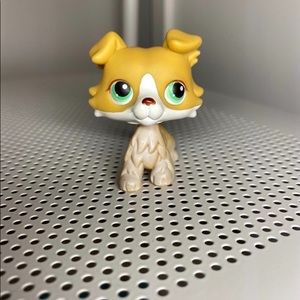 rare 272 lps collie